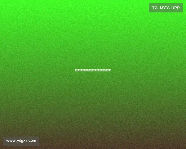 德甲联赛赛季前瞻：强队争锋与新星崛起的精彩对决